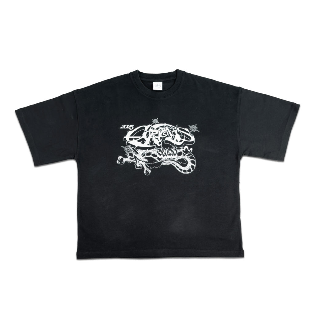 coriolis-drache-silber